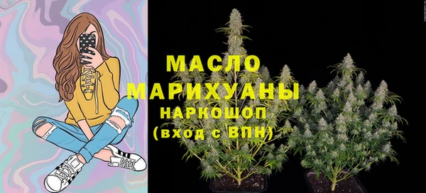 гидра Саяногорск