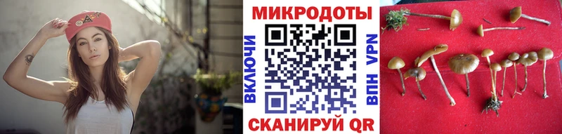 маркетплейс официальный сайт  Щигры  Галлюциногенные грибы ЛСД 